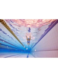 AMANZI Kneelength - Ayana -Outlet Swim Goggles Pro Store amanzi kneelength ayana am37300 8