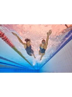 AMANZI Kneelength - Zephyr -Outlet Swim Goggles Pro Store amanzi kneelength zephyr am37308 6