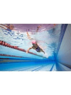 AMANZI Pro One Piece - Botanica -Outlet Swim Goggles Pro Store amanzi pro one piece botanica am10307 7