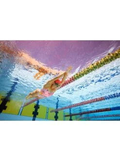 AMANZI Pro One Piece - Peachy Palms -Outlet Swim Goggles Pro Store amanzi pro one piece peachy palms am10302 5