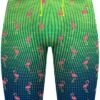 Q Swimwear Jammers - Party Flamingos 1 Q Swimwear Jammers - Party Flamingos -Outlet Swim Goggles Pro Store q swimwear party flamingos jammers qspfl