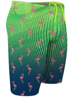Q Swimwear Jammers - Party Flamingos -Outlet Swim Goggles Pro Store q swimwear party flamingos jammers qspfl 2