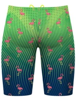 Q Swimwear Jammers - Party Flamingos -Outlet Swim Goggles Pro Store q swimwear party flamingos jammers qspfl 3