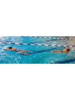 StrechCordz Grudge Belt -Outlet Swim Goggles Pro Store strechcordz grudge belt s120 2