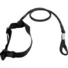 StrechCordz Safety Short Belt -Outlet Swim Goggles Pro Store strechcordz safety short belt s600