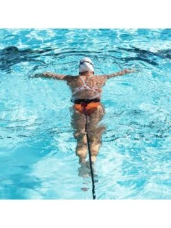 StrechCordz Safety Short Belt -Outlet Swim Goggles Pro Store strechcordz safety short belt s600 2