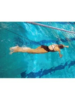 StrechCordz Safety Short Belt -Outlet Swim Goggles Pro Store strechcordz safety short belt s600 3