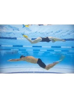 Zoggs Long Blade Fins -Outlet Swim Goggles Pro Store zoggs long blade fins 465213 1